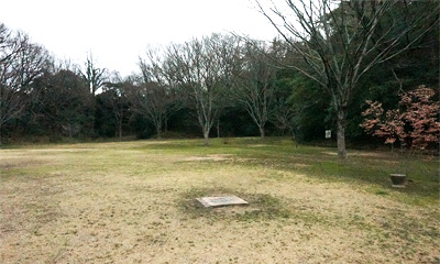 キャンプフリーサイト