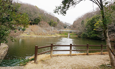 キャンプ湖畔サイト